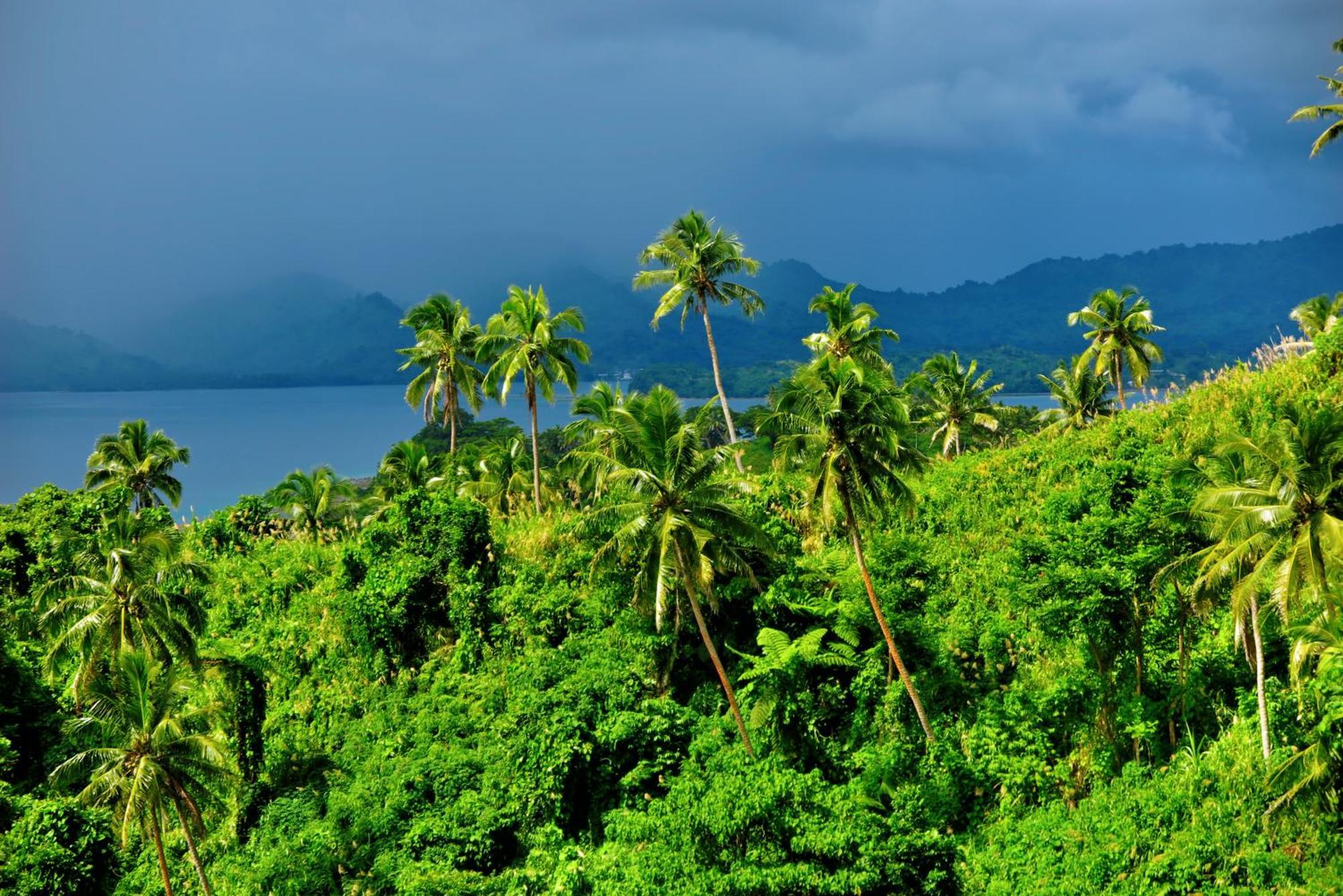 Latui Loft Hotel Savusavu Eksteriør billede